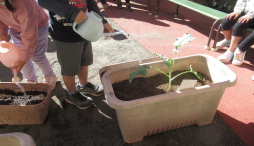 11月が始まります。